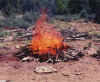fire.jpg (23265 bytes)